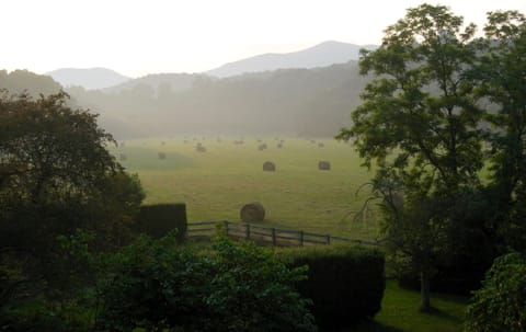 Hay bales in the mist.