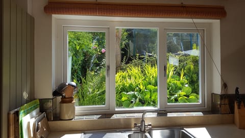 View from house kitchen window, 14ft trampoline in background