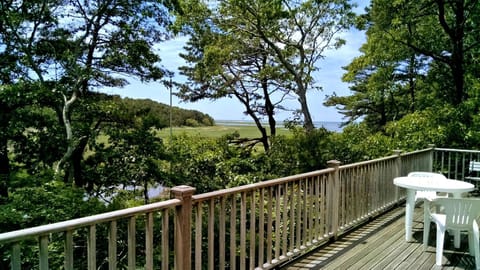 Tidal marsh views from large deck