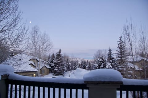 Front deck view on snowy day with full moon