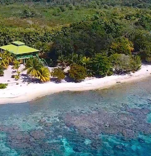 The Pineapple House on Treasure Beach 