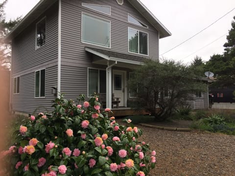 The Hermit Crab Cottage with spring blooms on the camellia bush.
