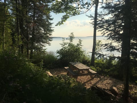 Picnic table down at lake