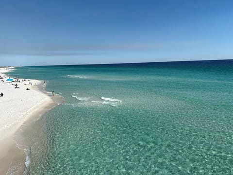 The turquoise waters of the Gulf are unmatched!