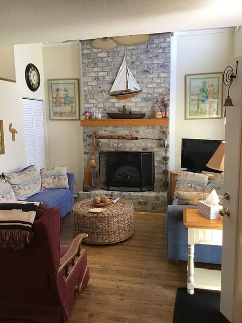 Cozy living room with flat screen tv