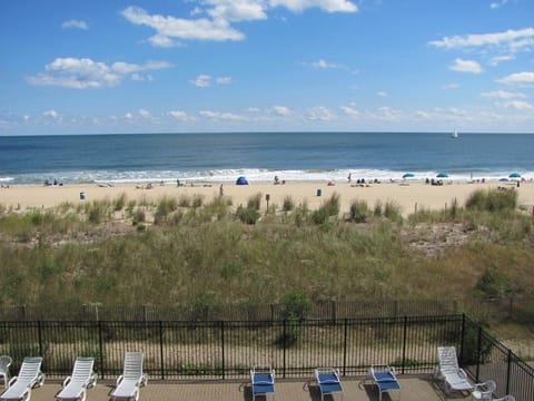 View from #202