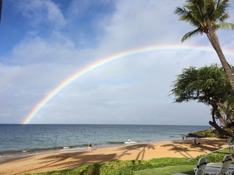 /Users/patriciakatterheinrich/Desktop/Lanai .pdf