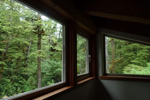 View from the semi-open sleeping loft.