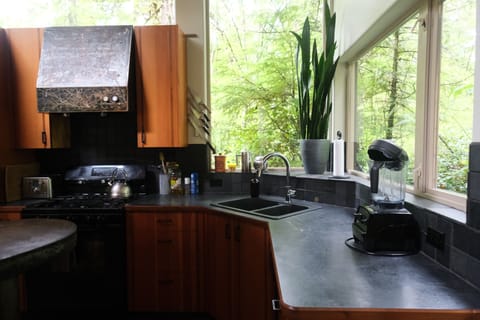 Well equipped kitchen with dishwasher, gas stove and vita mix! Rainforest views.