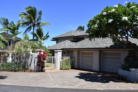 20 Papaua Street side