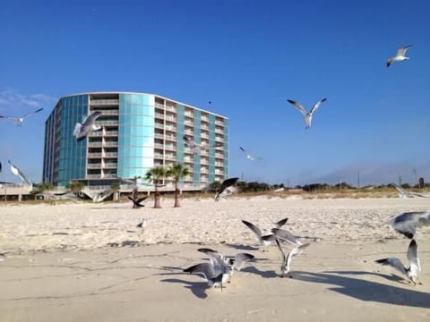 Penthouse View-Water Front-Private Balcony-Beach Side-Close to everything fun! 