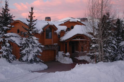 Beautiful stone and log exterior, heated drive and walkways, over 7,000 sq ft.