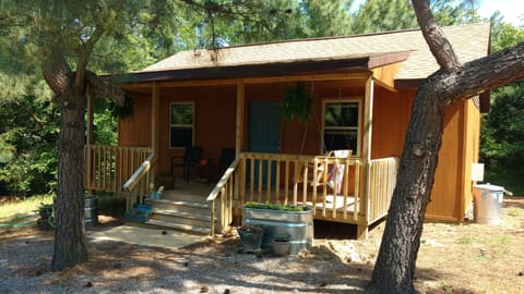 Cabin tucked in the pines