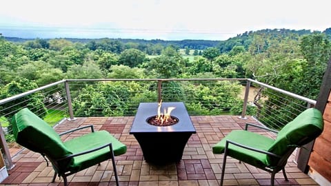 Top floor deck with views of the Biltmore estate and the French broad river 