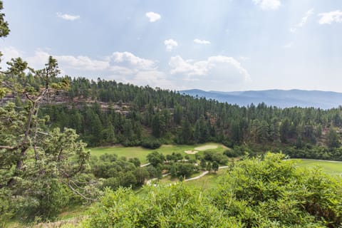 Fore the Views!