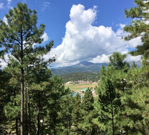 Breathtaking views of White Mountain