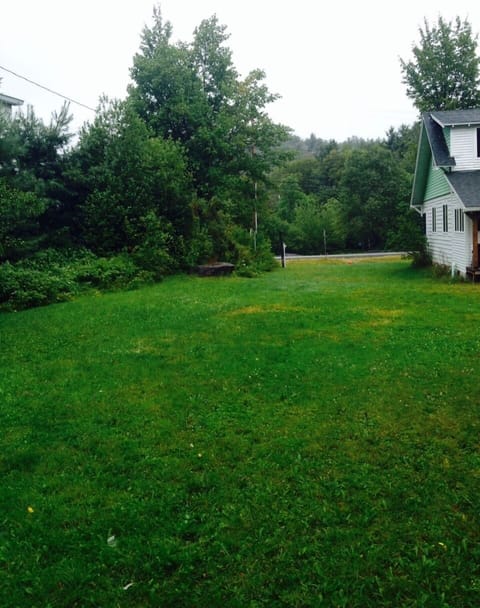 Yard to side of house