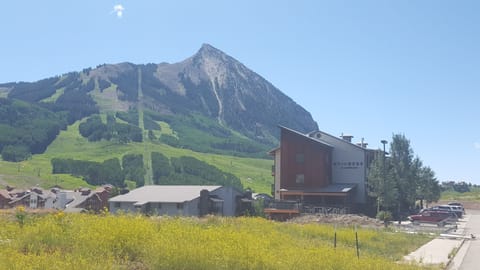 The Timbers with Mt. Crested Butte in the background