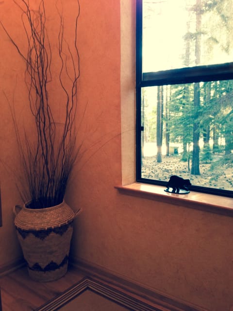 Stairway Landing with view of Forest