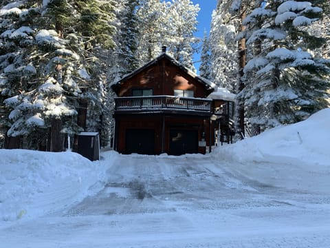 It's Snowtime at the cabin!