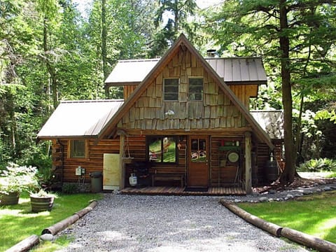 Covered back porch with BBQ