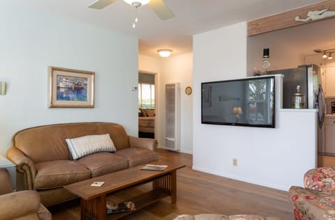 The Living Area view as you enter!