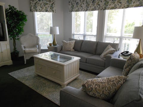 Lowcountry oaks, pines, & saw palmettos surround our living area. 