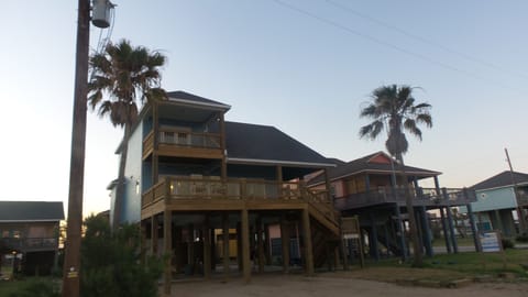 Our two palm trees that survived Hurricane Ike in 2009 frame the house.