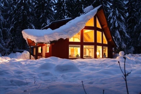 Mid-winter view of home from back yard 