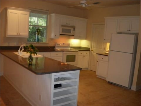 Large kitchen and appliances