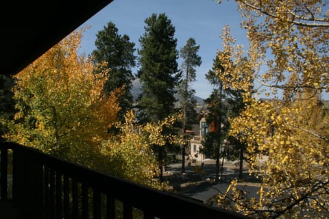 View from back porch