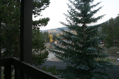 View from deck