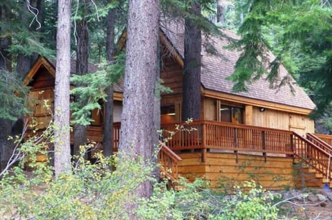 Front view in Summer.  Pine trees provide privacy from quiet Ward Creek Road