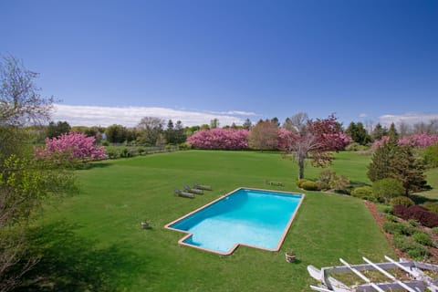 View of pool and backyard from upstairs balcony before we added the bluestone.