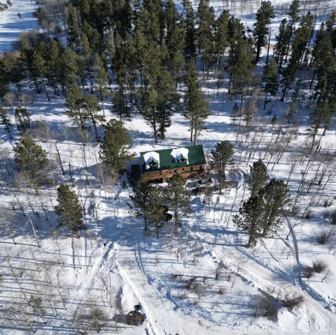 Ponderosa Hills vacation cabin nestled on five acres