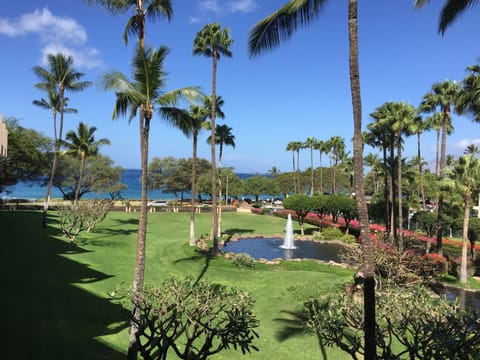 View from lanai BUILDING 10 