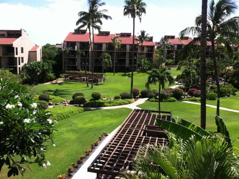 Inner garden area and BBQs
