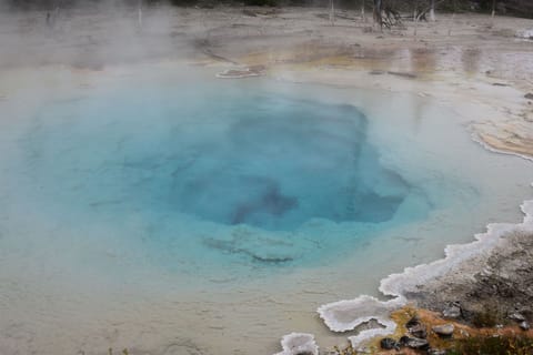 Fountain Paint Pot in Yellowstone National Park