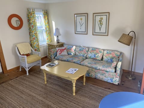 Sunny morning living room with comfy new sofa. 