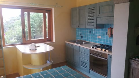 Main apartment kitchen cooking area