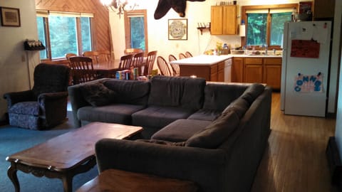 Living room / Kitchen