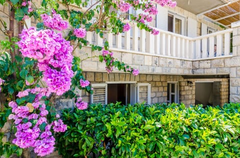 Window and entrance door to the studio apartment
