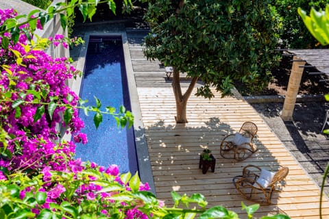 Pool from above