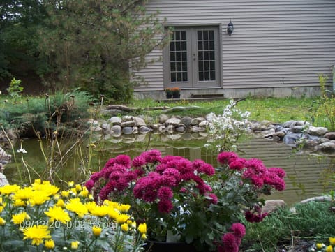 Outside yard view with pond 
