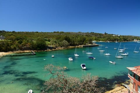 Spectacular harbour views