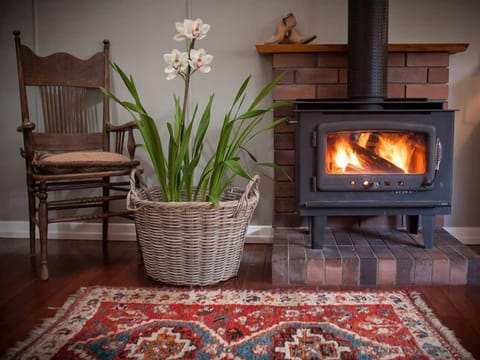 Lounge room fire place
