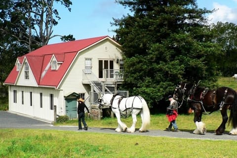 The Carriage House-Bay of Islands
A Luxury Cottage Apartment for 2-4 guests