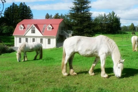 Horses before the Carriage House