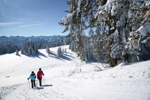 Schedler's hut, Austria Cabin in Vorarlberg, Austria