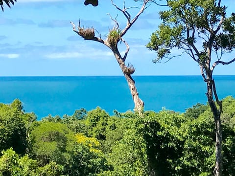 Magical view from vernadar